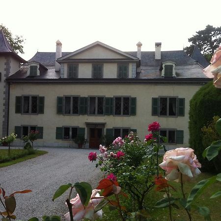 Отель Chateau De Veigy Экстерьер фото